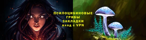 дурь Майский
