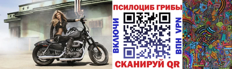hydra как зайти  Городище  Псилоцибиновые грибы мицелий  сколько стоит 